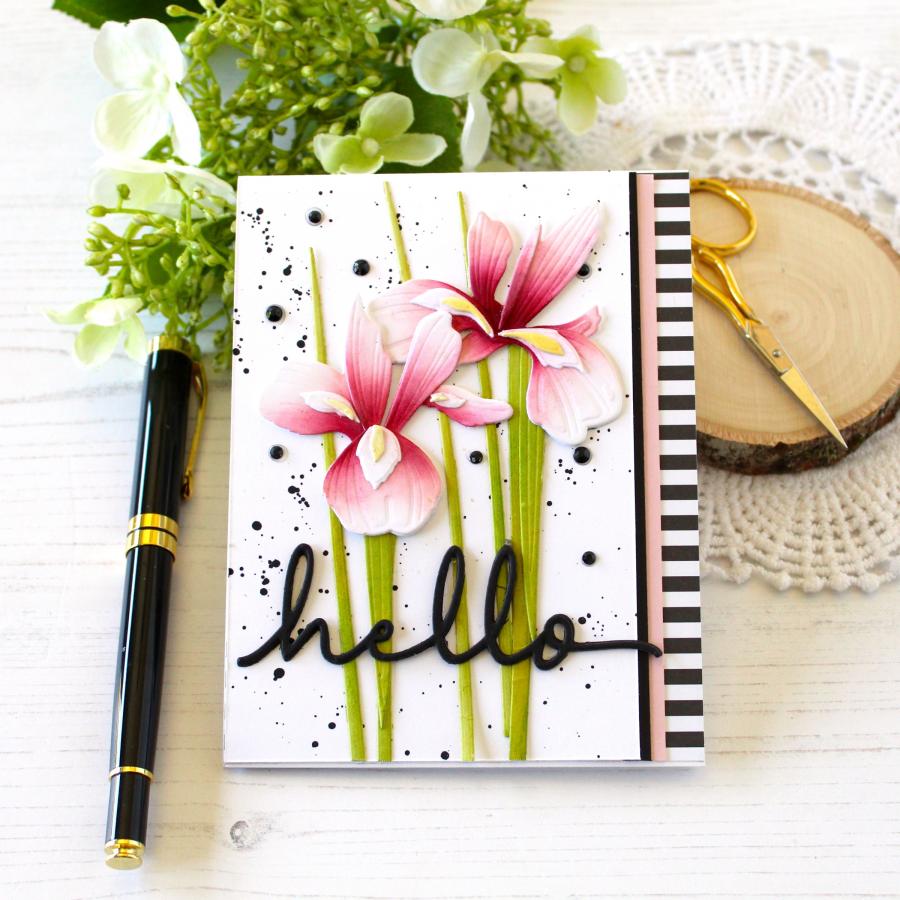 1pc Piggy Craft metal cutting  - đánh giá và giá Stencil Cutting Plotter