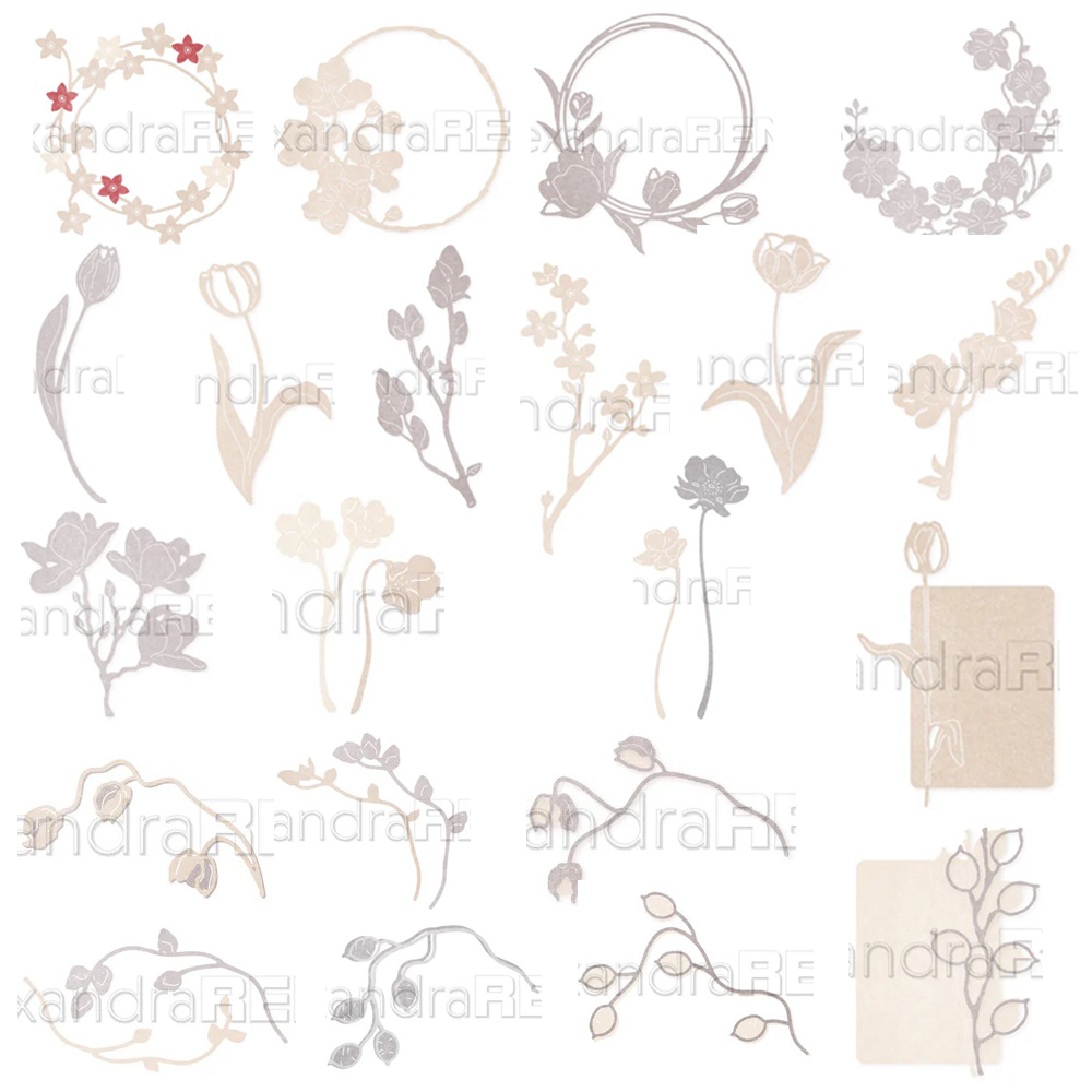 Piggy Craft metal cutting dies - đánh giá và giá Stencil Cutting Plotter