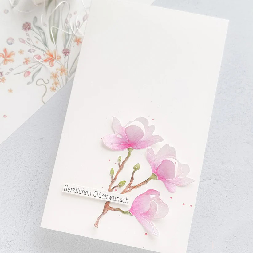 Piggy Craft metal cutting dies - đánh giá và giá Stencil Cutting Plotter